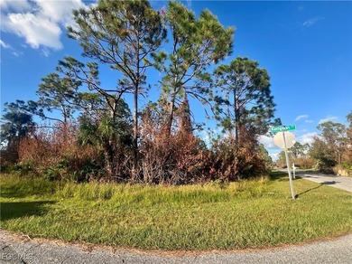 Beach Lot For Sale in Port Charlotte, Florida