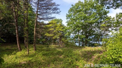 Beach Acreage For Sale in Holland, Michigan