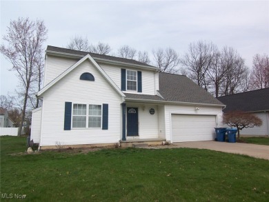 Beach Home For Sale in Lorain, Ohio