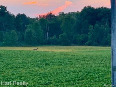 Beach Acreage Sale Pending in Applegate, Michigan