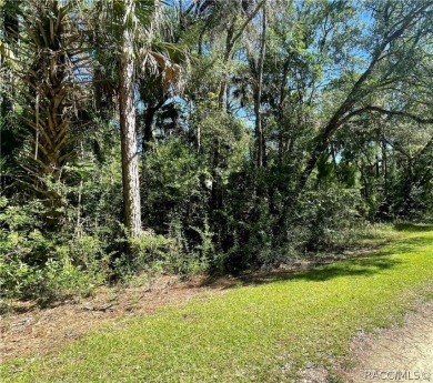 Beach Lot For Sale in Inglis, Florida