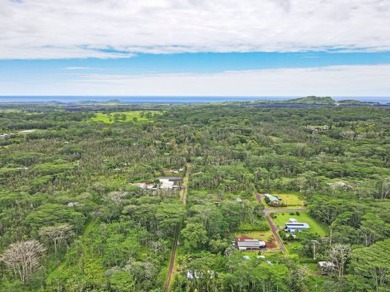 Beach Home For Sale in Pahoa, Hawaii