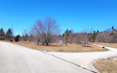 Beach Lot For Sale in Onekama, Michigan