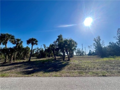 Beach Lot For Sale in Placida, Florida