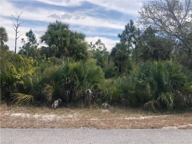 Beach Lot For Sale in Lehigh Acres, Florida