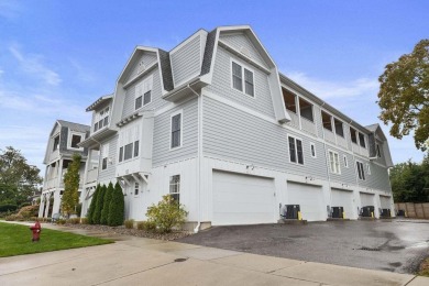 Beach Condo For Sale in New Buffalo, Michigan