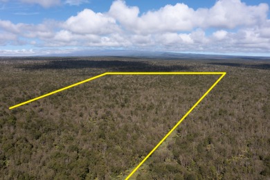 Beach Acreage For Sale in Mountain View, Hawaii