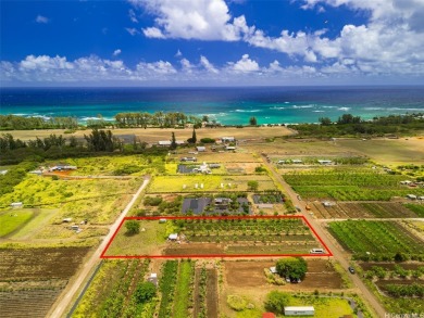 Beach Acreage For Sale in Waialua, Hawaii