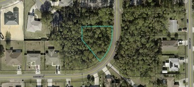 Beach Lot For Sale in Palm Coast, Florida