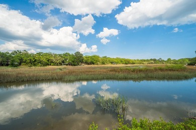 Beach Home For Sale in Charleston, South Carolina