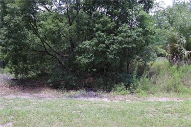 Beach Lot Off Market in Crystal River, Florida