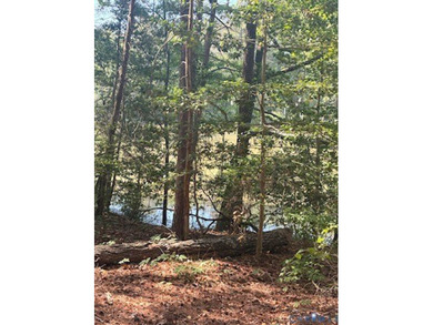 Beach Lot Sale Pending in Montross, Virginia