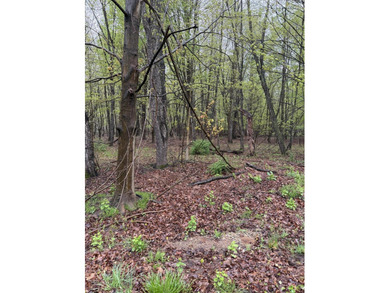 Beach Acreage For Sale in South Haven, Michigan