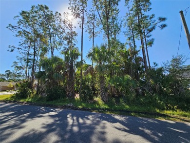 Beach Lot For Sale in Palm Coast, Florida