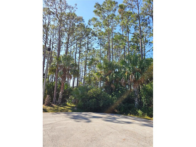 Beach Lot For Sale in Palm Coast, Florida