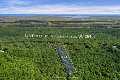 Beach Acreage For Sale in Mcclellanville, South Carolina