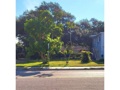 Beach Lot For Sale in St. Petersburg, Florida