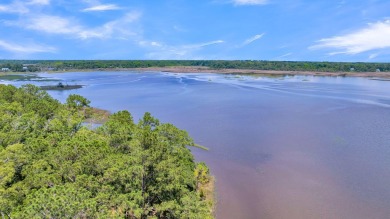 Beach Lot For Sale in Hollywood, South Carolina