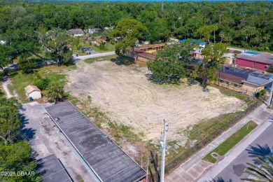 Beach Lot For Sale in Ormond Beach, Florida
