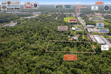 Beach Acreage Off Market in Homosassa, Florida