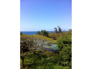 Beach Condo For Sale in Hilo, Hawaii