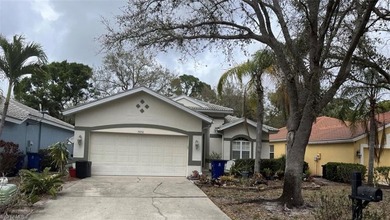 Beach Home For Sale in Estero, Florida