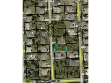 Beach Lot For Sale in Palm Coast, Florida