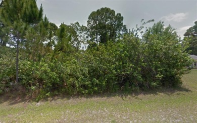 Beach Lot For Sale in Port Charlotte, Florida