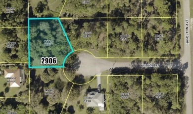 Beach Lot For Sale in Lehigh Acres, Florida