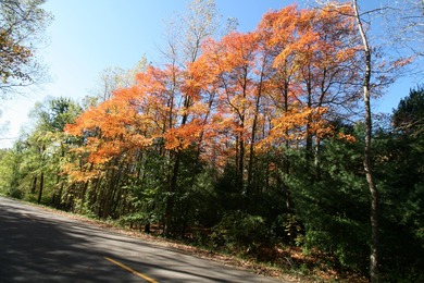 Beach Acreage For Sale in South Haven, Michigan