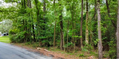 Beach Lot For Sale in Georgetown, South Carolina