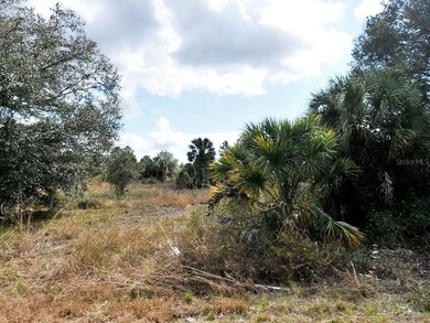 Beach Lot For Sale in North Port, Florida