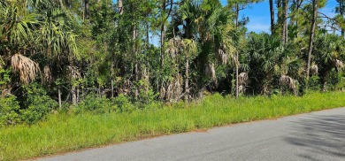 Beach Lot For Sale in North Port, Florida