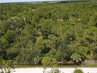Beach Lot For Sale in Punta Gorda, Florida