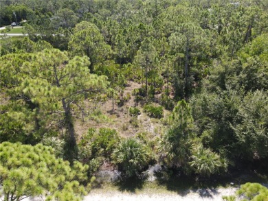Beach Lot For Sale in Punta Gorda, Florida