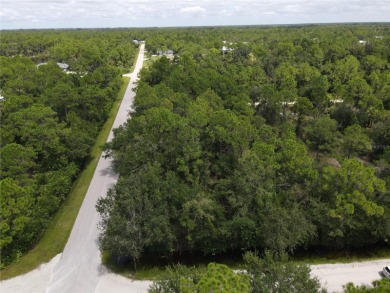 Beach Lot For Sale in Punta Gorda, Florida