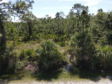 Beach Lot For Sale in Punta Gorda, Florida