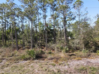 Beach Lot For Sale in Punta Gorda, Florida