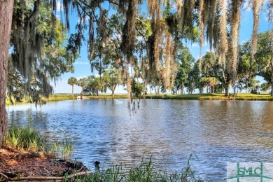 Beach Lot For Sale in Savannah, Georgia