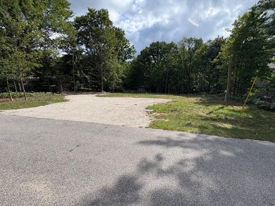 Beach Lot For Sale in Onekama, Michigan