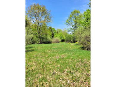 Beach Lot For Sale in Onekama, Michigan