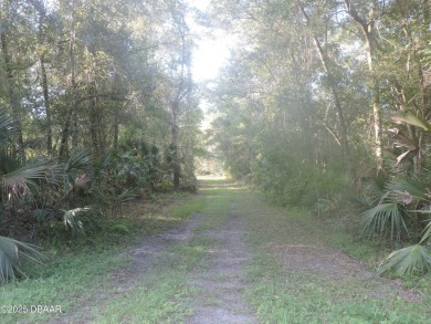 Beach Acreage Sale Pending in Bunnell, Florida