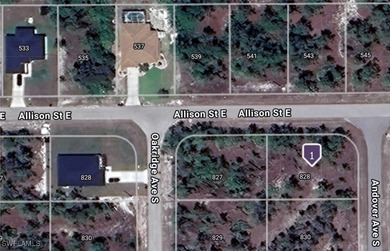 Beach Lot For Sale in Lehigh Acres, Florida