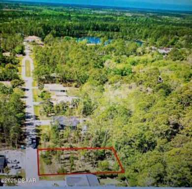 Beach Lot For Sale in Palm Coast, Florida