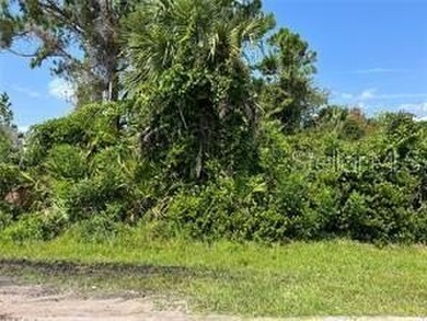 Beach Lot For Sale in Palm Coast, Florida
