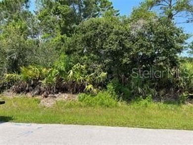 Beach Lot For Sale in Palm Coast, Florida