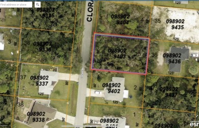 Beach Lot For Sale in North Port, Florida