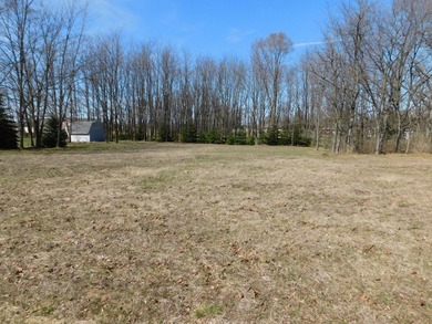 Beach Lot For Sale in Manistee, Michigan