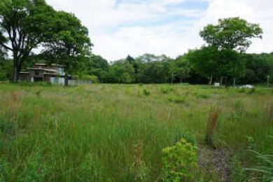 Beach Lot For Sale in Gary, Indiana