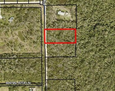 Beach Acreage Sale Pending in Mims, Florida